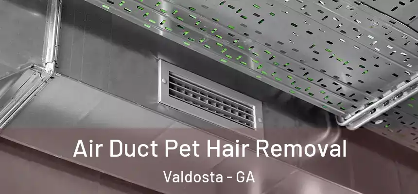  Air Duct Pet Hair Removal Valdosta - GA