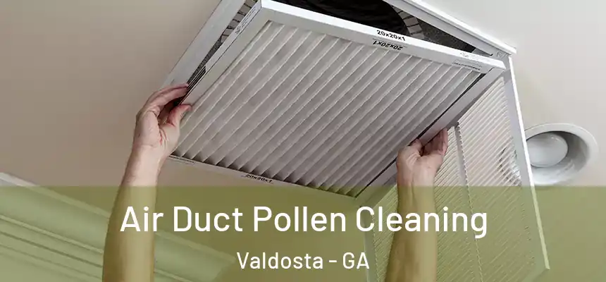 Air Duct Pollen Cleaning Valdosta - GA