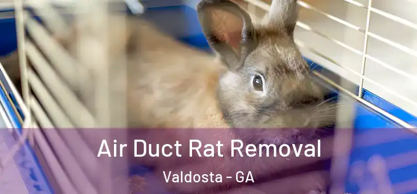 Air Duct Rat Removal Valdosta - GA