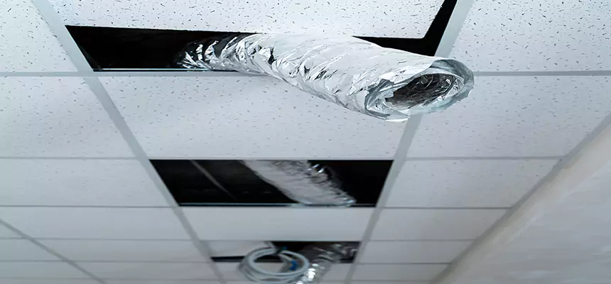 Our Air Duct Pet Hair Removal Services in Valdosta, GA