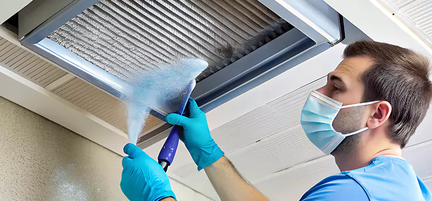 Proactive Dryer Vent & Auxiliary Duct Pollen Cleanup in Valdosta, GA