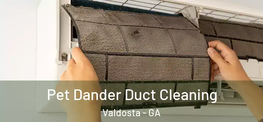 Pet Dander Duct Cleaning Valdosta - GA