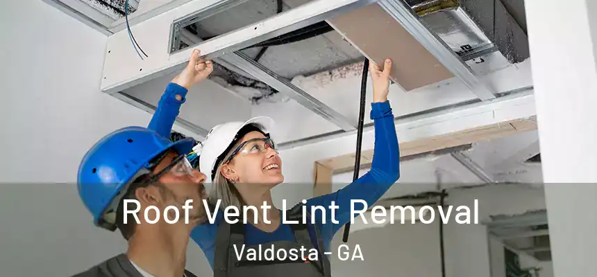  Roof Vent Lint Removal Valdosta - GA