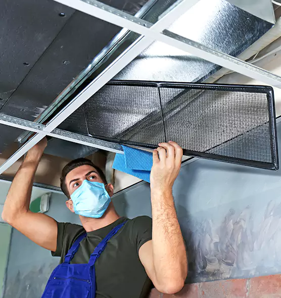 About Air Duct Bacteria Removal in Valdosta