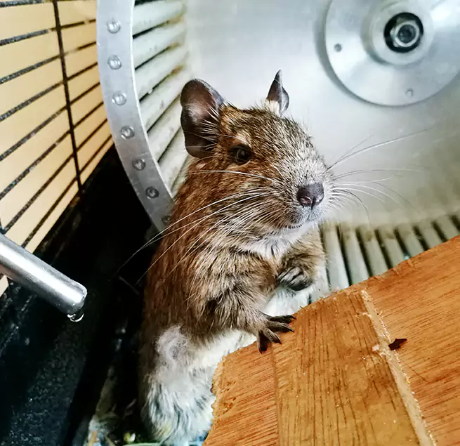 Why Homeowners & Businesses Trust Us Valdosta, GA