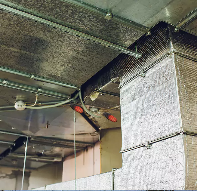 Why Homeowners & Businesses Trust Us Valdosta, GA?